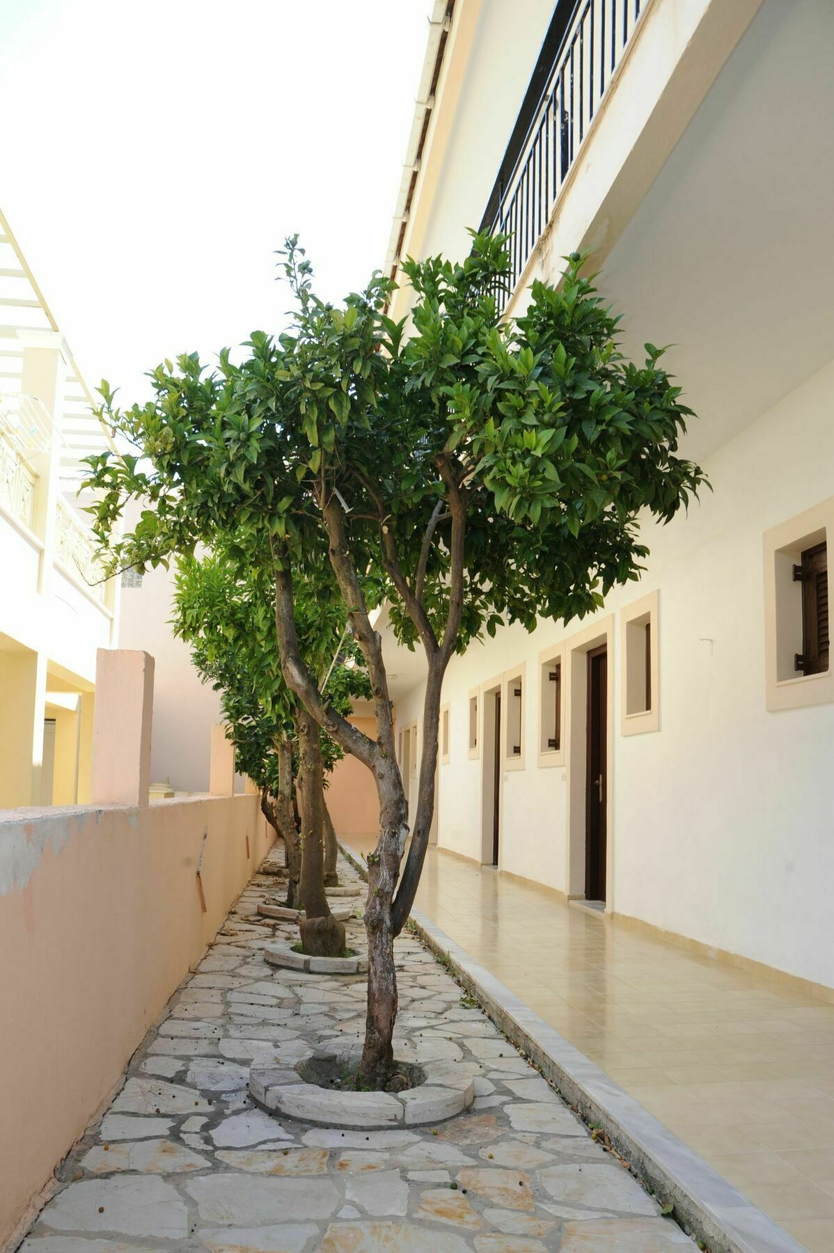 Ferienwohnung Three Seasons Kávos Exterior foto